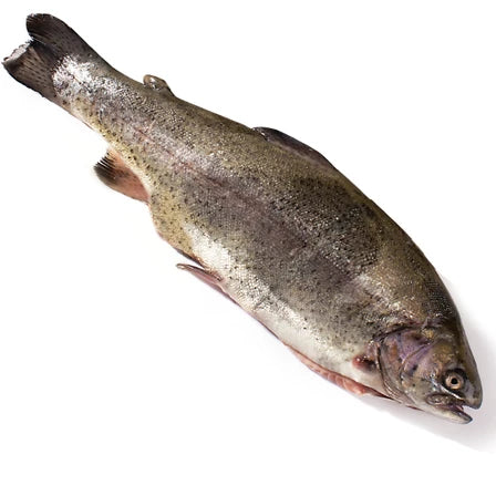 Pstrąg tęczowy patroszony 1 kg